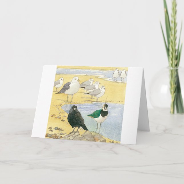 Birthday Seabird Jackdaw Lapwing Beach Nature Card Karte (Vorderseite)