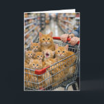 Birthday Shopping Cart Filled with Orange Cats Karte<br><div class="desc">A group of ginger cats huddles together in a shopping cart in a store aisle with curious expressions.
The inside text can be changed.</div>