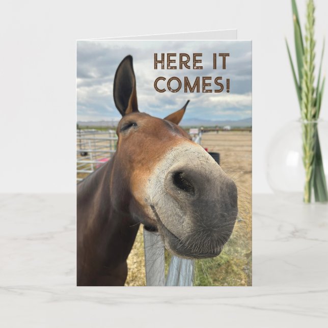 Birthday Smile Funny Mule Animal Card Real Echten  Dankeskarte (Vorderseite)