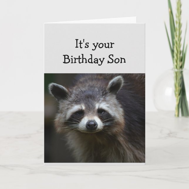 Birthday Son Fun Age Spaß Sad Raccoon Spaß Card Karte (Vorderseite)