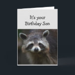 Birthday Son Fun Age Spaß Sad Raccoon Spaß Card Karte<br><div class="desc">Blahs zum Geburtstag für Ihr Son Fun Age Nur weil Sie eine Menge davon gehabt haben. Humorale depressive Raccoon</div>