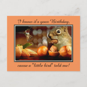 Birthday Squirrel Postkarte