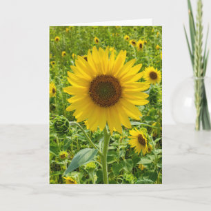 Birthday Sunflower Karte