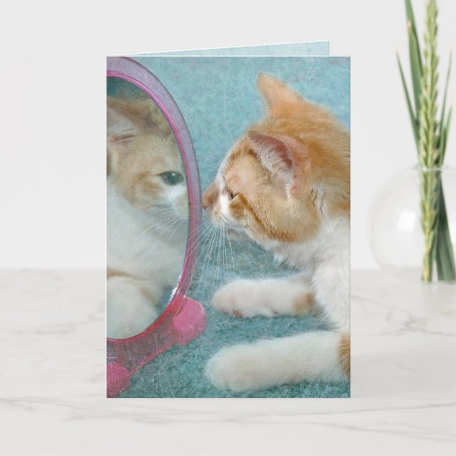 Birthday Tabby Cat in Mirror Karte (Vorderseite)