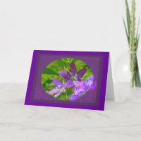 Birthday Venus Looking Glass Wildblume Floral