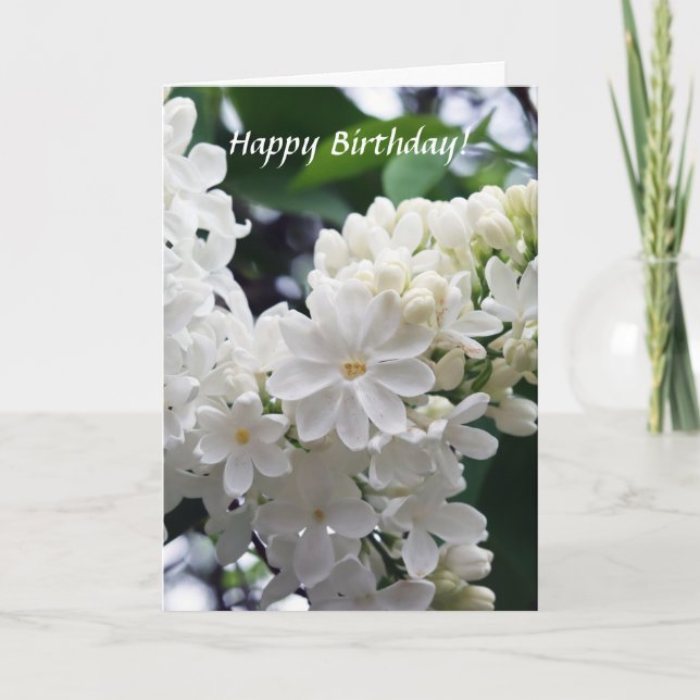 Birthday White Lilac Karte (Vorderseite)