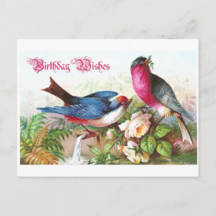 Birthday Wises Postkarte