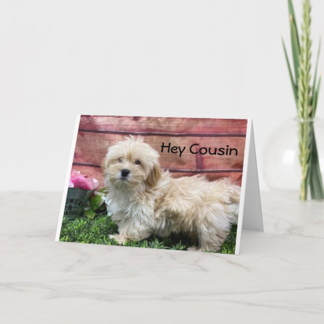 BIRTHDAY WISH "COUSIN" & "BEST FRIEND" CARD KARTE (Vorderseite)