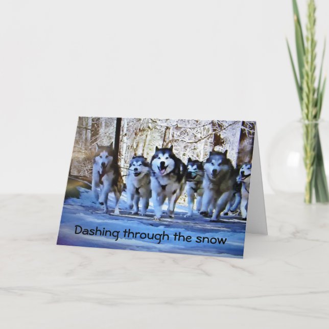 **BIRTHDAY WISHES** FROM SLED DOGS FEIERTAGSKARTE (Vorderseite)