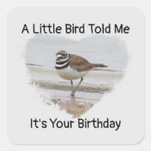 Birthday wünscht Little Bird Humors Umschlag Aufkl