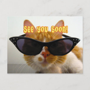 Bis Bald - Coole Katze Postkarte