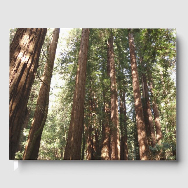 Bis Redwoods II im Muir Woods National Monument Gästebuch (Vorderseite)