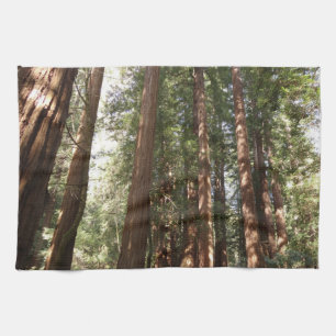 Bis Redwoods II im Muir Woods National Monument Geschirrtuch