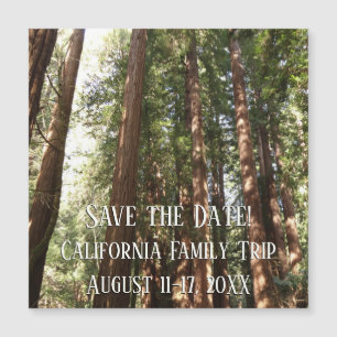 Bis Redwoods II im Muir Woods National Monument Magnetkarte