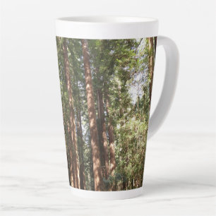 Bis Redwoods II im Muir Woods National Monument Milchtasse