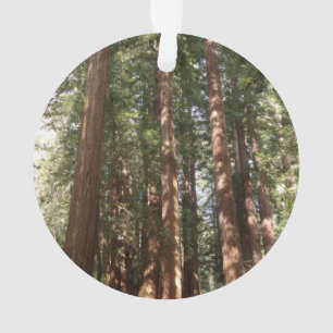Bis Redwoods II im Muir Woods National Monument Ornament