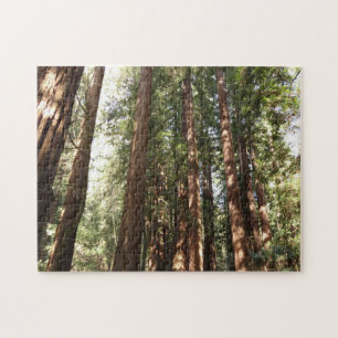 Bis Redwoods II im Muir Woods National Monument Puzzle
