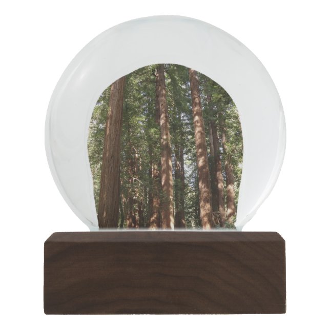 Bis Redwoods II im Muir Woods National Monument Schneekugel (Vorderseite)
