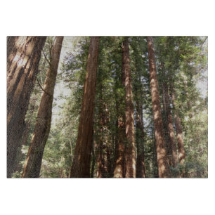 Bis Redwoods II im Muir Woods National Monument Schneidebrett
