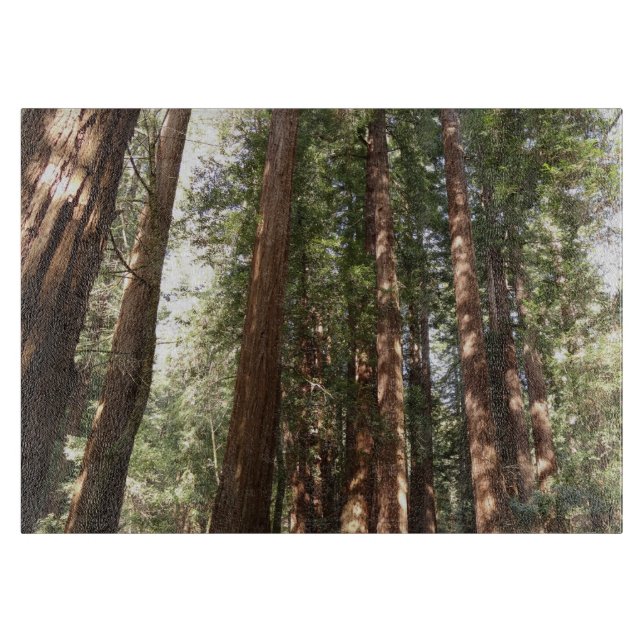Bis Redwoods II im Muir Woods National Monument Schneidebrett (Vorderseite)