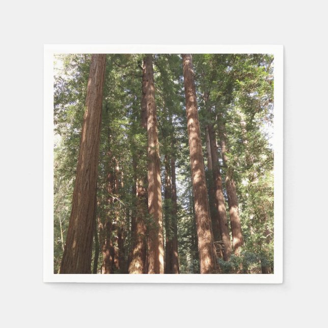 Bis Redwoods II im Muir Woods National Monument Serviette (Vorderseite)