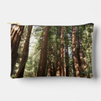 Bis Redwoods II im Muir Woods National Monument