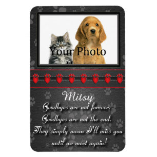 Bis wir wieder Memorial für Katze oder Hund treff Magnet