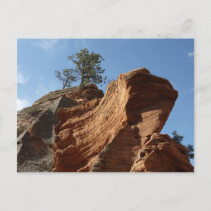 Bis zu Angels Landing im Zion National Park Postkarte