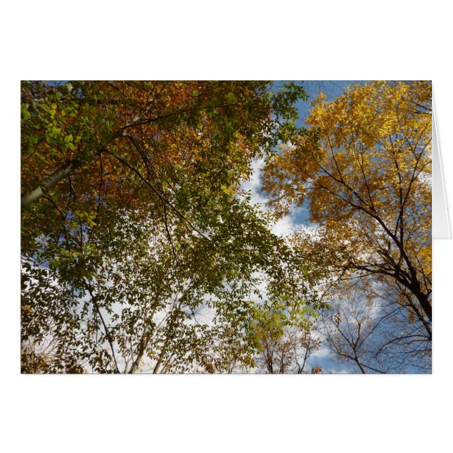 Bis zu den Herbstlauben II Herbstnatur (Vorderseite (Horizontal))