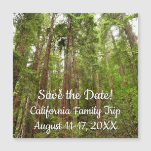 Bis zu Redwoods I bei Muir Woods Save the Date Magnetkarte