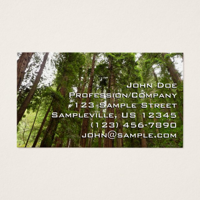 Bis zu Redwoods I im Muir Woods National Monument (Vorderseite)