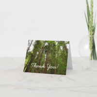 Bis zu Redwoods I im Muir Woods National Monument