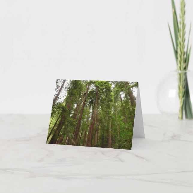 Bis zu Redwoods I im Muir Woods National Monument Karte (Vorderseite)