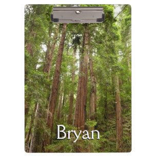 Bis zu Redwoods I im Muir Woods National Monument Klemmbrett