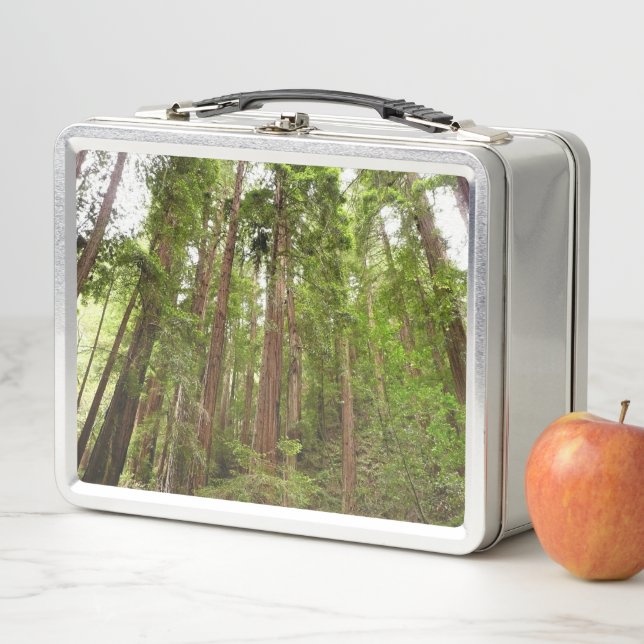 Bis zu Redwoods I im Muir Woods National Monument Metall Brotdose (Beispiel)