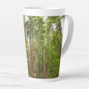 Bis zu Redwoods I im Muir Woods National Monument Milchtasse