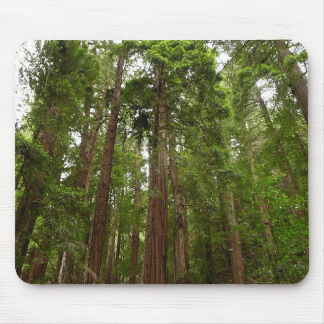 Bis zu Redwoods I im Muir Woods National Monument Mousepad (Vorne)