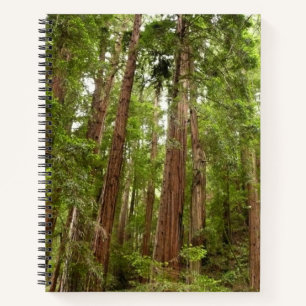 Bis zu Redwoods I im Muir Woods National Monument Notizbuch