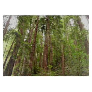Bis zu Redwoods I im Muir Woods National Monument Schneidebrett