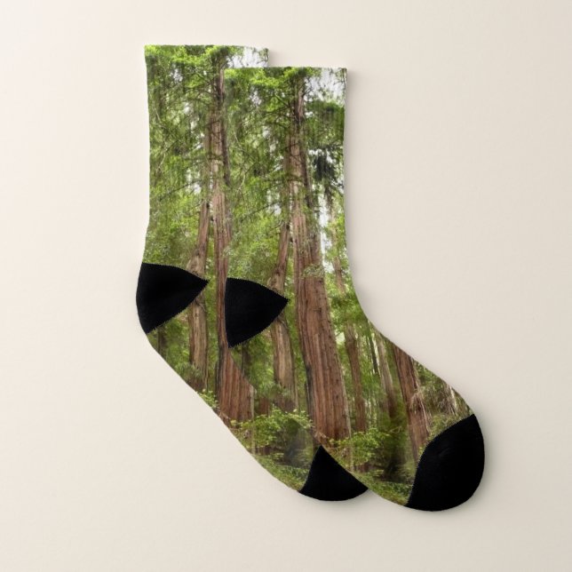 Bis zu Redwoods I im Muir Woods National Monument Socken (Paar)