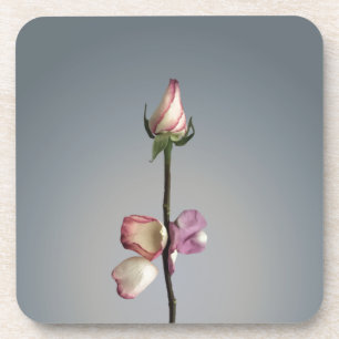 Bis zum letzten Blatt... Getränkeuntersetzer