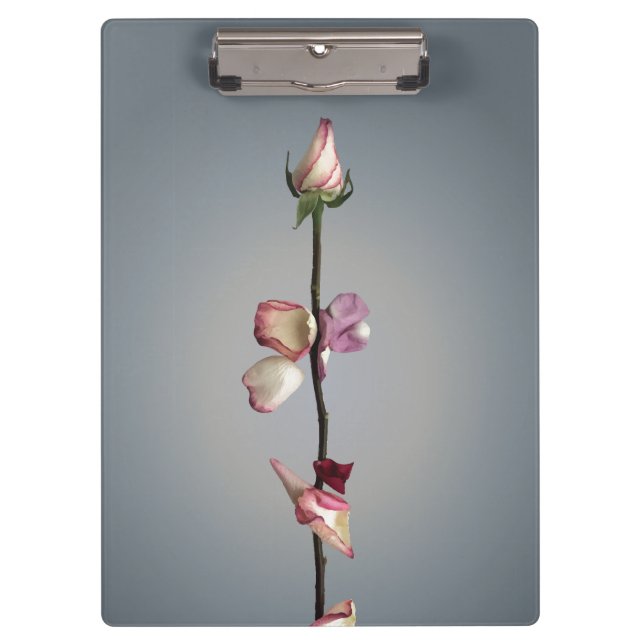 Bis zum letzten Blatt... Klemmbrett (Vorderseite)