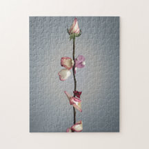 Bis zum letzten Blatt...