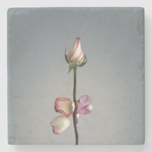 Bis zum letzten Blatt... Steinuntersetzer