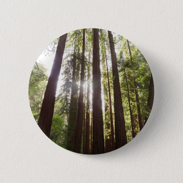 Bis zum Redwoods am Morgen Button (Vorderseite)
