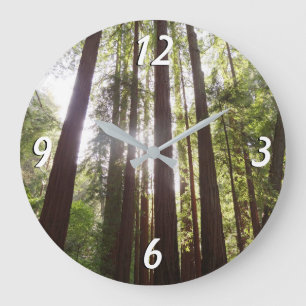 Bis zum Redwoods am Morgen Große Wanduhr