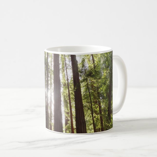Bis zum Redwoods am Morgen Kaffeetasse (VorderseiteRechts)