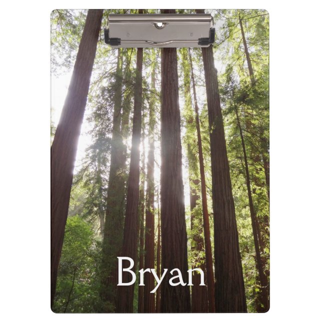 Bis zum Redwoods am Morgen Klemmbrett (Vorderseite)