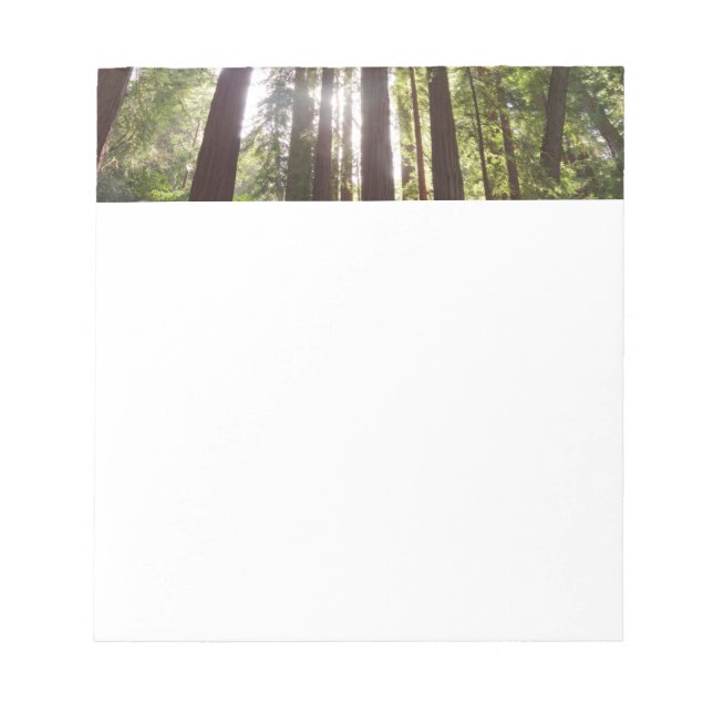 Bis zum Redwoods am Morgen Notizblock (Vorderseite)