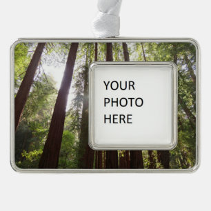 Bis zum Redwoods am Morgen Rahmen-Ornament Silber